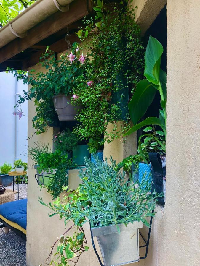 דירות דיז'ון Le Jardin Wilson מראה חיצוני תמונה