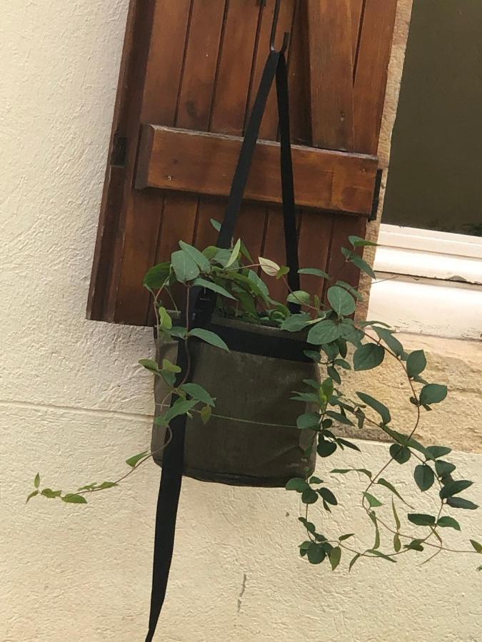 דירות דיז'ון Le Jardin Wilson מראה חיצוני תמונה
